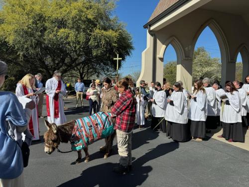 Palm Sunday with Donkey