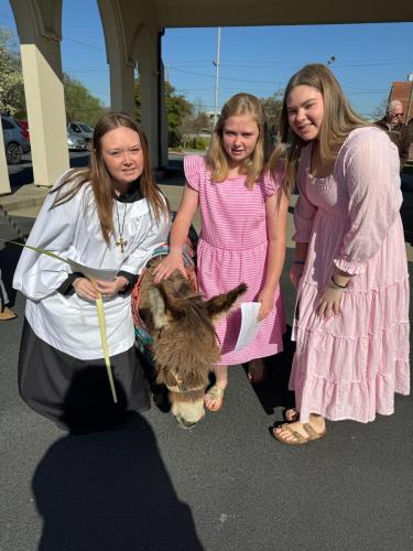 Palm Sunday with Donkey