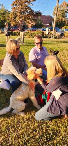 Pet Blessings