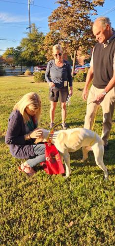 Pet Blessings