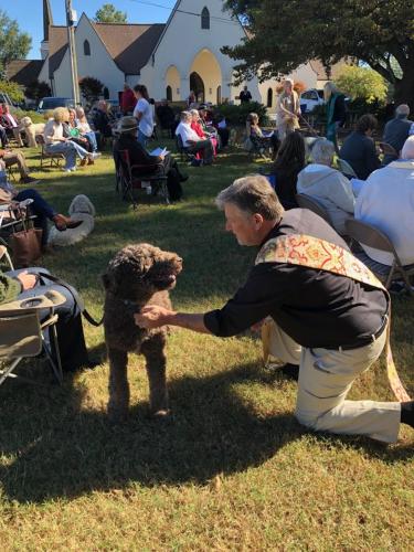 St. Francis Animal Blessing